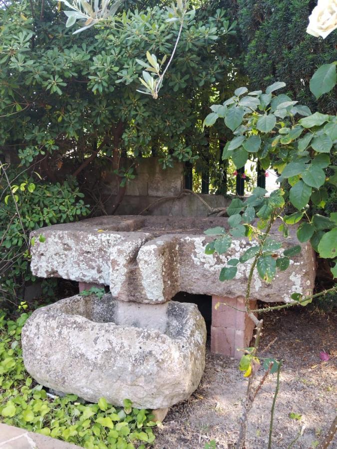 Апартаменты Il Casale Del Cortonese Сассари Экстерьер фото